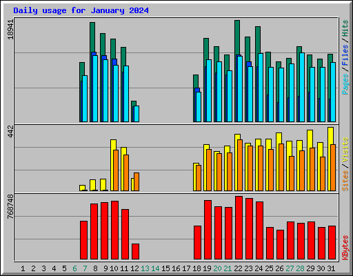 Daily usage for January 2024