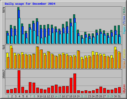 Daily usage for December 2024