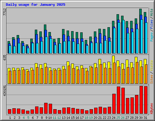 Daily usage for January 2025