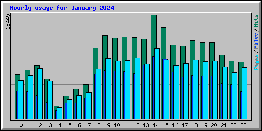 Hourly usage for January 2024