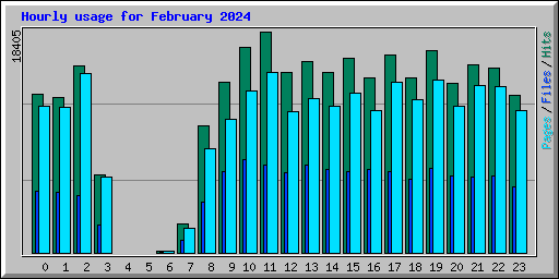 Hourly usage for February 2024