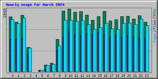 Hourly usage for March 2024