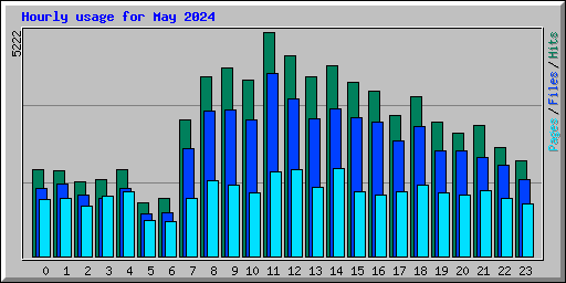 Hourly usage for May 2024