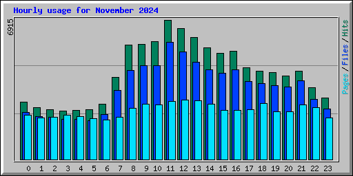 Hourly usage for November 2024