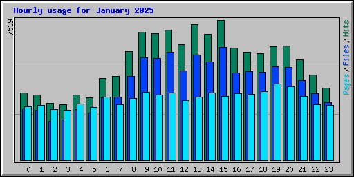 Hourly usage for January 2025