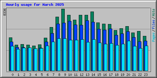 Hourly usage for March 2025