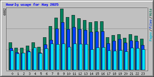 Hourly usage for May 2025