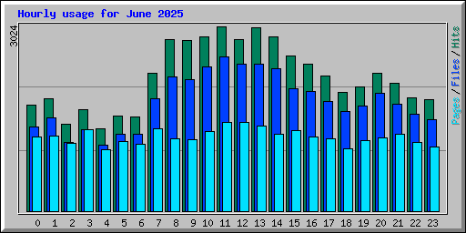 Hourly usage for June 2025